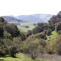IMG 0083